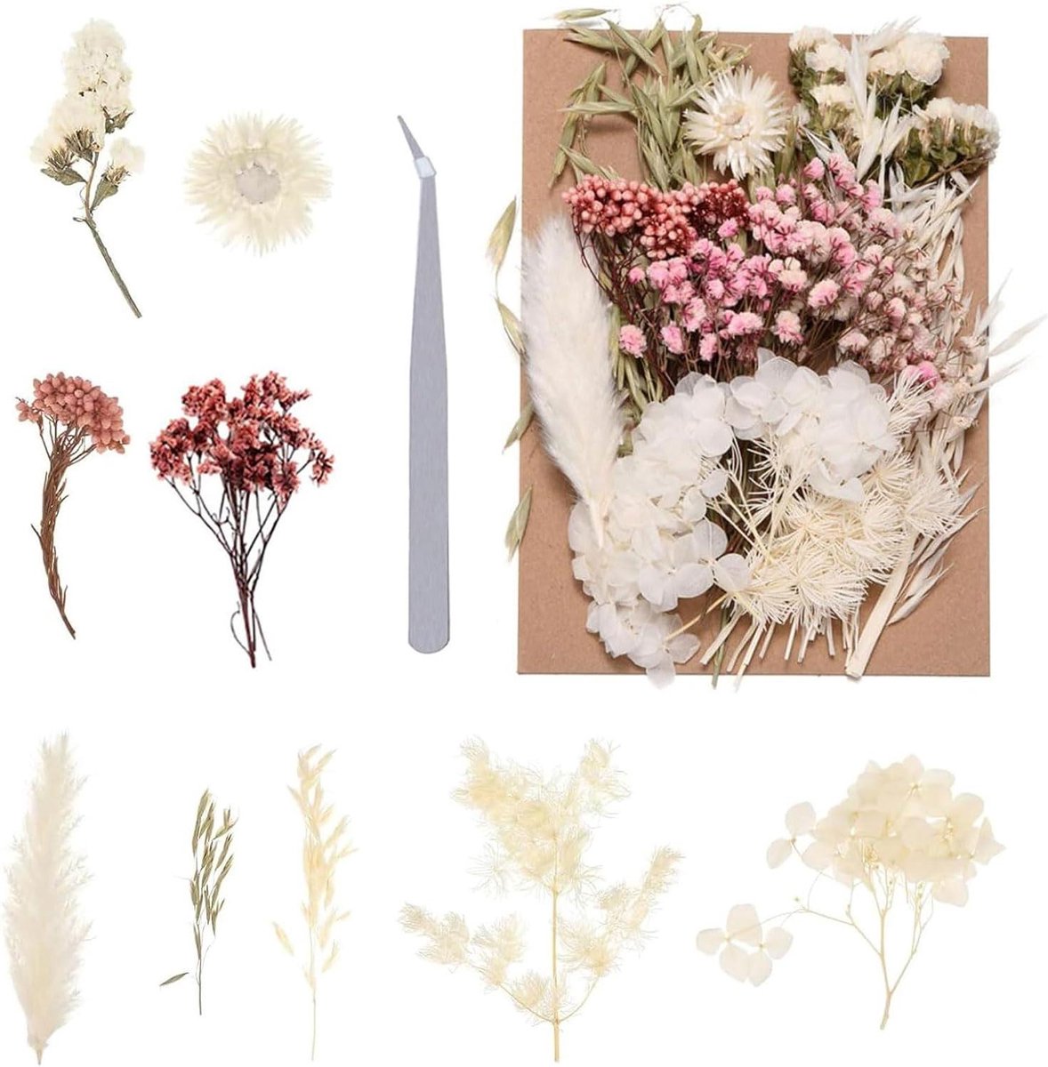 Cosensi - Natuurlijke Gedroogde Bloemen Set voor Decoratie in Gemengde Samenstelling