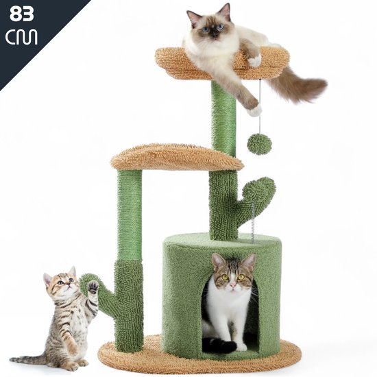 Arbre à chat en forme de cactus, 83 cm de haut, avec deux balles jouets. Un Ragdoll est couché en haut, un chaton joue près du cactus et un chat est assis dans la maisonnette.