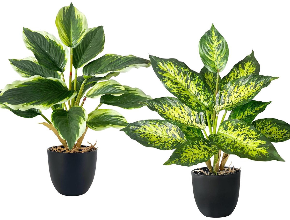 Unyqoos Set van twee levensechte kunstplanten voor diverse interieurstijlen g