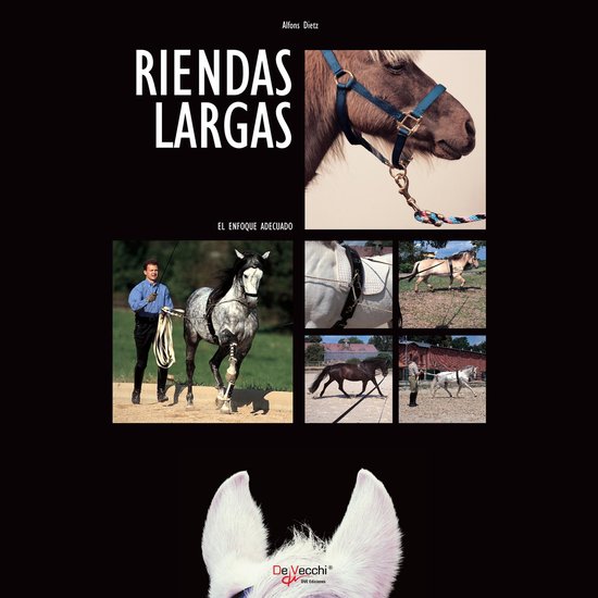 Riendas largas - cover