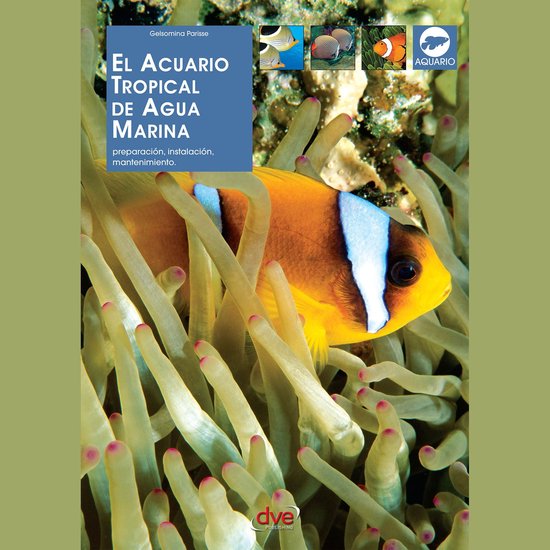 El acuario tropical de agua marina - cover