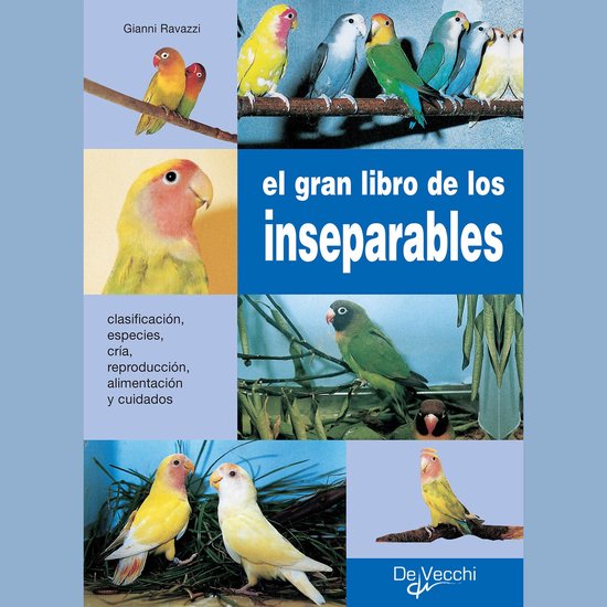 El gran libro de los inseparables - cover