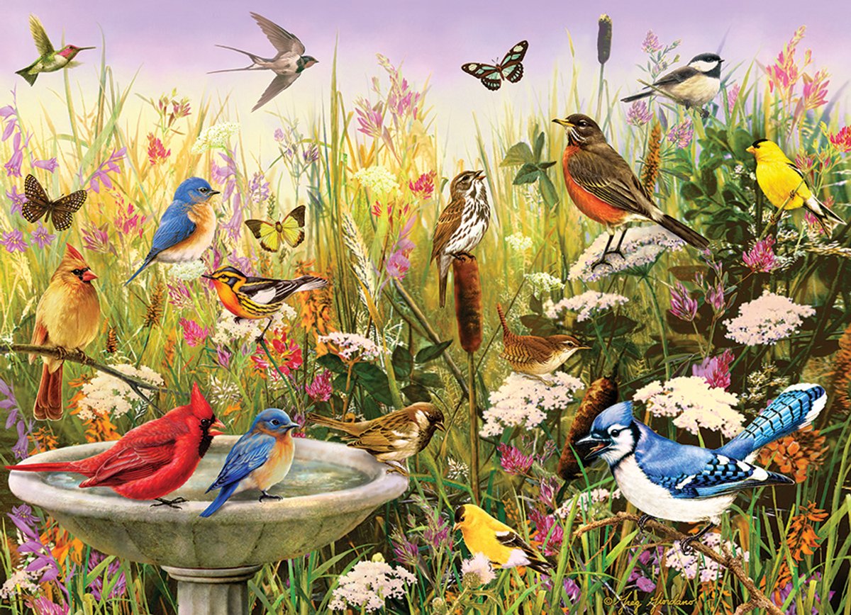 Cobble Hill legpuzzel 1000 stukjes - Feathered friends vogels.