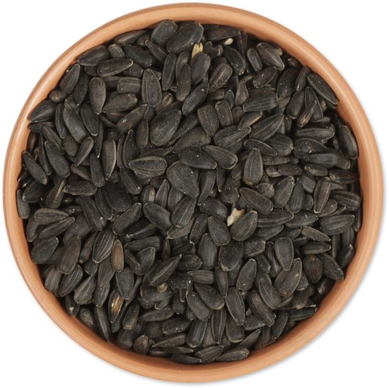 Gifts4Nature 5kg Zwarte Zonnebloempitten voor Vogels - Zonnepitten voor Vogels - Vogelvoer voor Buitenvogels - Tuinvogelvoer voor Voedertafel of Voedersilo - Voordeelverpakking