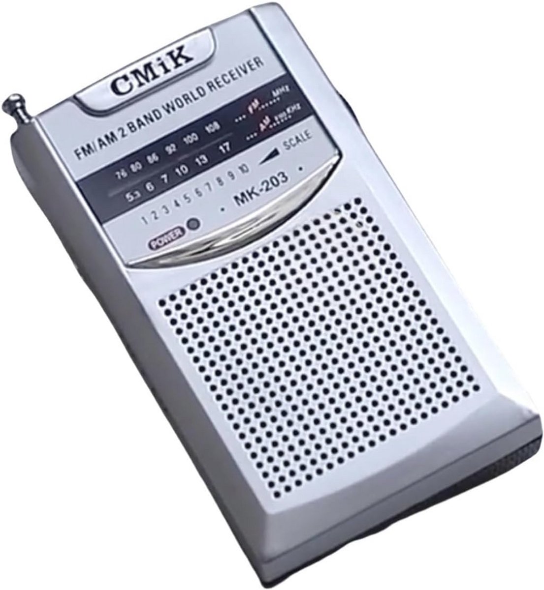 Draagbare FM Radio met Sterke Luidspreker voor Binnen en Buiten
