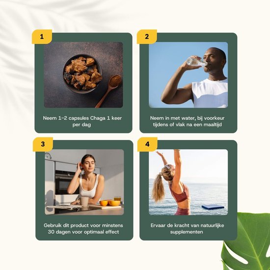 Cupplement - 4 sachets de capsules d'extrait de Chaga 60 pièces - Extrait 20:1 - Comprend un pilulier - Biologique - 400 MG par capsule - Geen poudre - Supplément - Superaliment - Champignon - Champignon