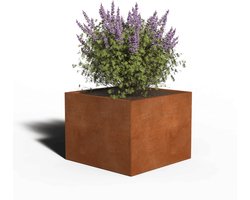 Cortenstaal Plantenbak Vierkant | 80 x 80 x 40 | Met bodem