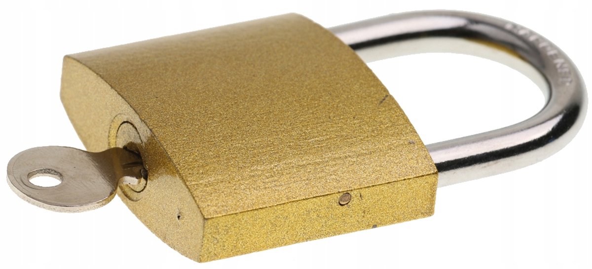 Gietijzeren Hangslot 50mm - Eén Sleutelsysteem - 1 Sleutel