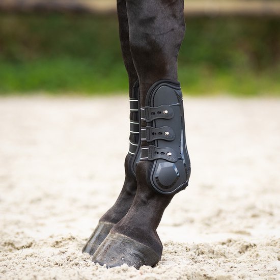 Zwarte peesbeschermers met witte accenten aan de benen van een donker paard.