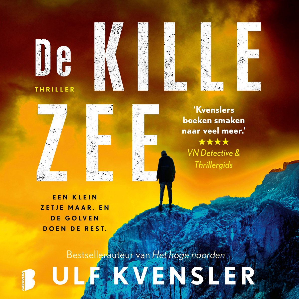 Omslag van De kille zee