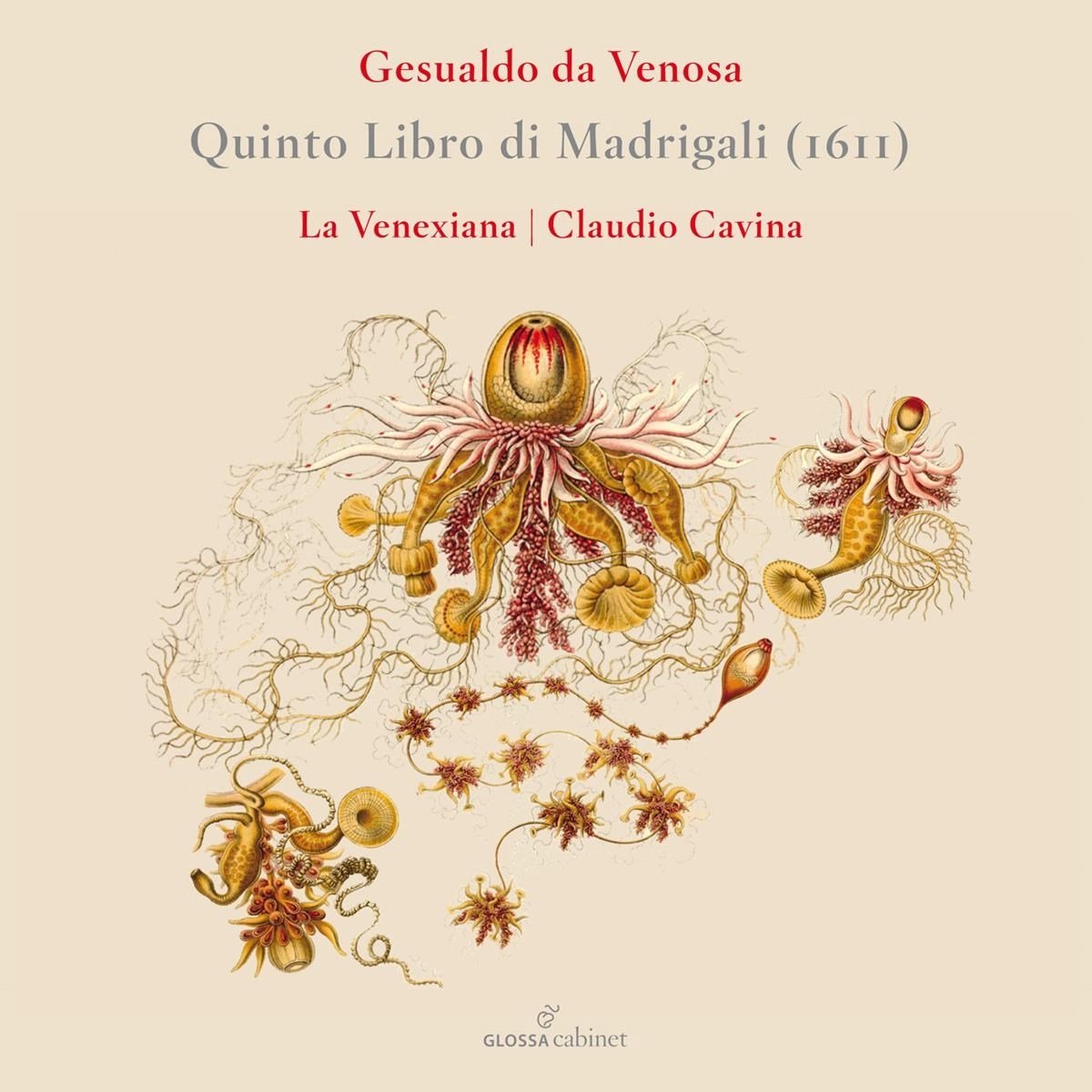 La Venexiana & Claudio Cavina - Gesualdo: Quinto Libro Di Madrigali (1611) (CD)