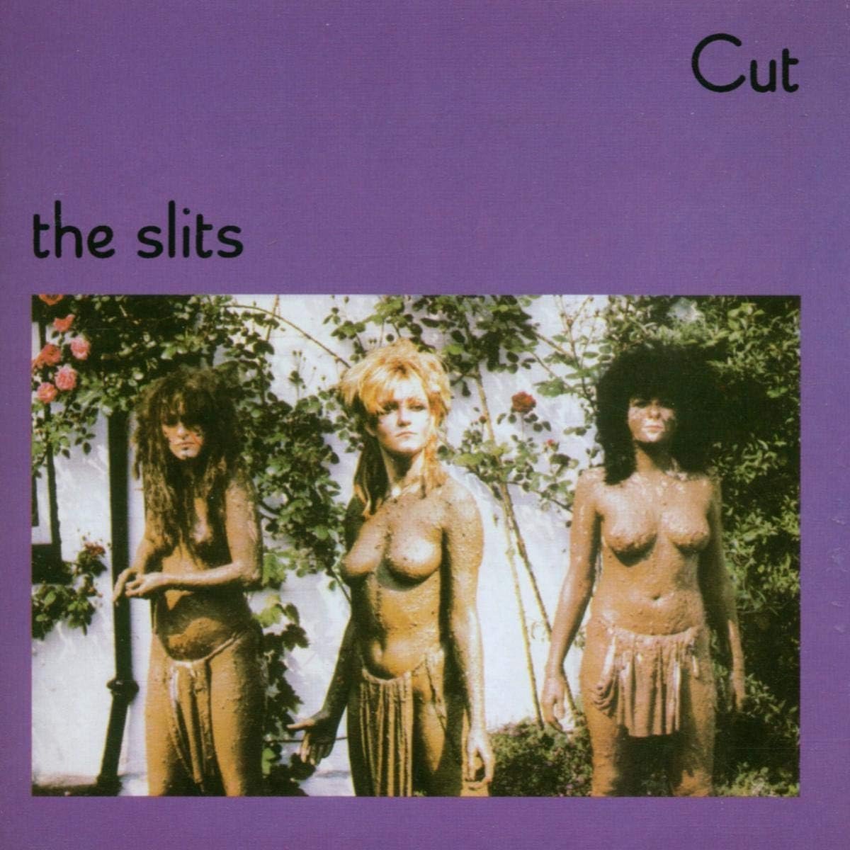 Album Cut - Invloedrijke Post-Punk/Reggae Muziek