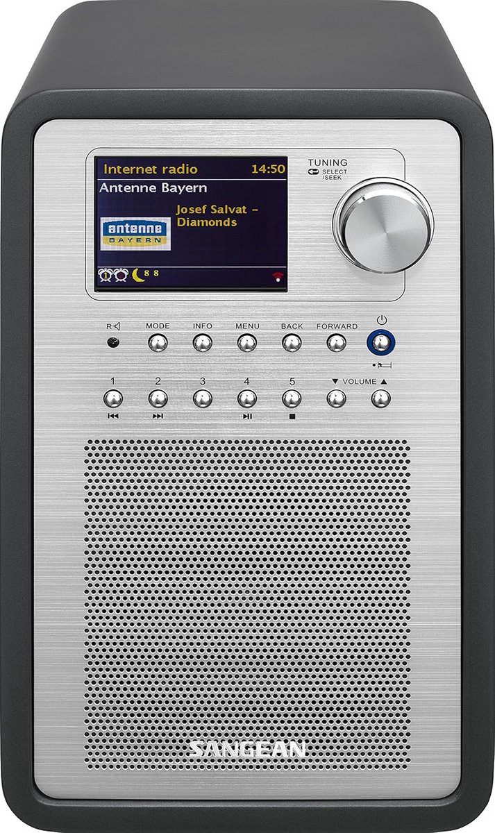 Draagbare Digitale Internetradio met 448 Voorkeurszenders en App-bediening