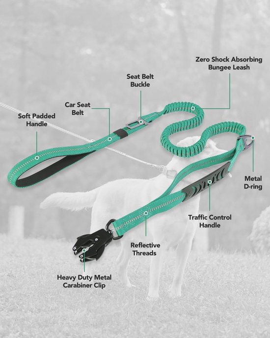 Heavy Duty touw bungee-lijn voor grote en middelgrote honden met anti-trek voor schokabsorptie - antislip reflecterende riem voor buiten (groen, voor 1 hond