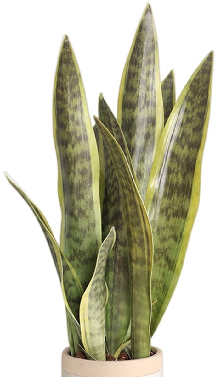 Unyqoos Set van drie kunstplanten Sansevieria voor interieurdecoratie thuis en op kantoor Groen