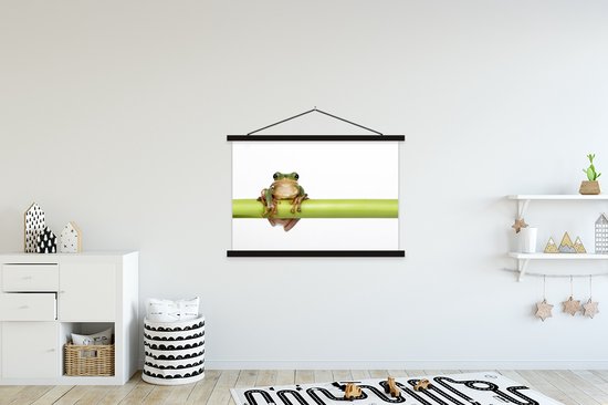 Grenouille devant fond blanc affiche textielposter lattes noir 150x100 cm
