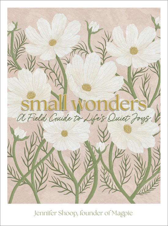 Small Wonders - cover