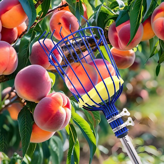 Fruitplukker met draaimechanisme - Telescopische fruitplukker van roestvrij staal - Fruitplukker voor bomen - Fruitplukmand - Telescopische steel van 4 meter - Geschikt voor fruit uit de tuin, zoals sinaasappels, peren en citroenen - Rood — afbeelding 3