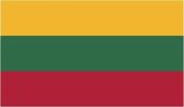 Vlag Litouwen 30x45 cm.