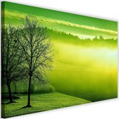 Schilderij Mistig meer, 2 maten, groen, Premium print