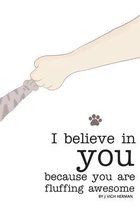 I believe in you