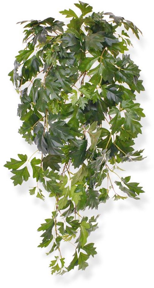 maxifleur Kunstplanten Maxifleur Cissus Kunsthangplant - 80 cm - Groen