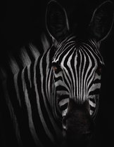 Schilderij zebra zwart 40 x 60 - Pixello - Canvas - Schilderijen op canvas - Unieke canvaskunst designs