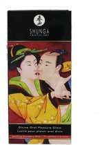 Shunga Orale Pleasure Gloss