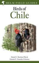 livre numérique