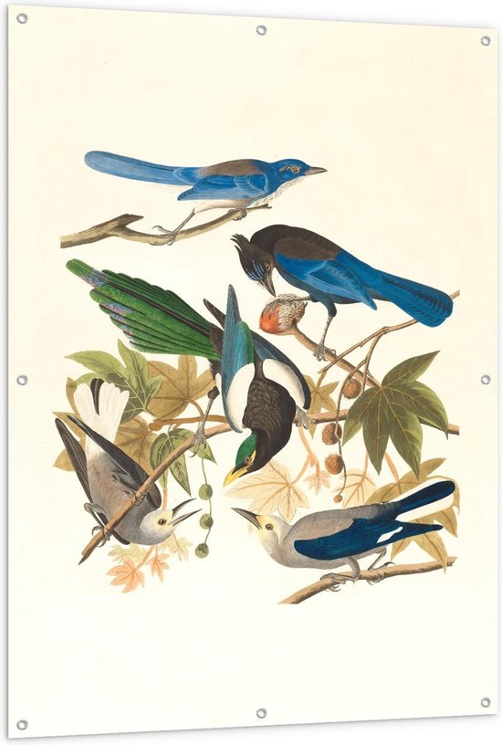 Tuinposter – Blauwe met Grijze vogels op Takjes getekend - 100x150cm Foto op Tuinposter  (wanddecoratie voor buiten en binnen)