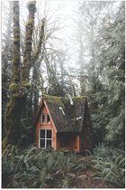 Poster – Houten Huisje in het Bos - 40x60cm Foto op Posterpapier