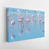 Flock of birds pink flamingo walking on the blue salt lake of Cyprus in the city of Larnaca, the concept of romance delicate background of love   - Modern Art Canvas  - Horizontal