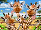 Prime 3d Puzzel Selfie Giraffe Karton 63-delig