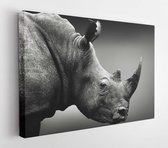High alert rhino, black and white, monochrome portrait. Fine arts, South Africa. I Seratotery - Modern Art Canvas - Horizontal - 679755226 - 50*40 Horizontal