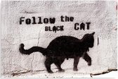 Schilderij Follow the black cat, 4 maten, zwart-wit (wanddecoratie)