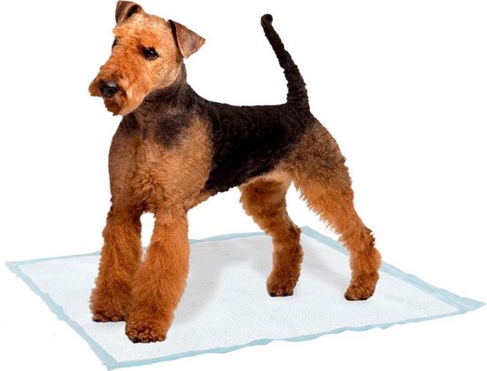 ferplast genico zinderlijkheids trainings mat large  60x90cm