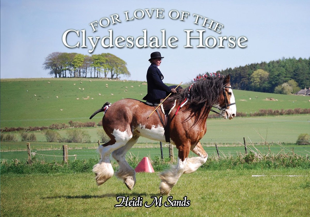 For Love of the Clydesdale Horse - Heidi M. Sands