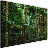 Schilderij Groene palmbomen, 2 maten, Premium print