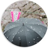 Forex Wandcirkel - Zwarte Paraplu met Roze Bloesem - 60x60cm Foto op Wandcirkel (met ophangsysteem)