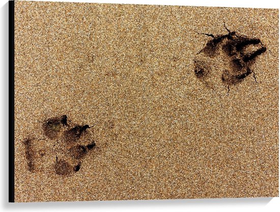 Canvas  - Hondenpoot Afdrukken in het Zand - 100x75cm Foto op Canvas Schilderij (Wanddecoratie op Canvas)