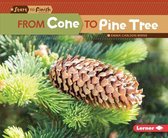 Start to Finish, Second Series - From Cone to Pine Tree