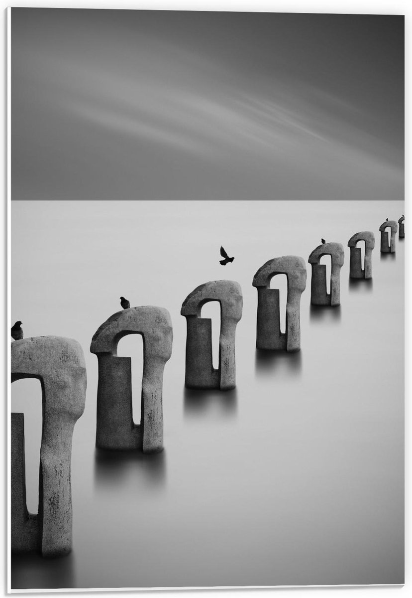 Forex - Vogels op Betonnen Palen ( Zwart Wit ) - 40x60cm Foto op Forex