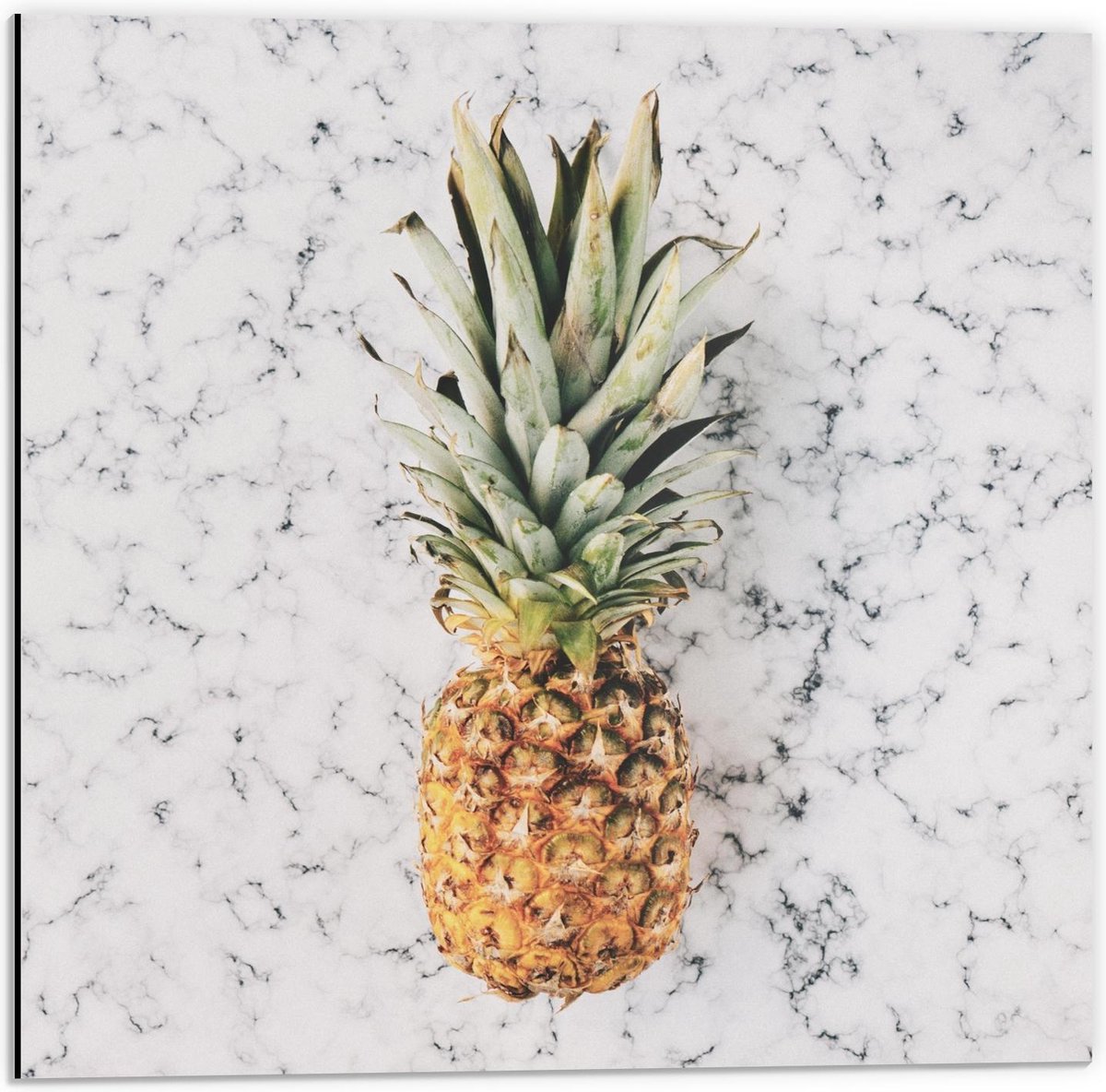 Dibond - Ananas met Marmer Achtergrond - 50x50cm Foto op Aluminium (Wanddecoratie van metaal)