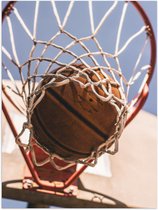 Poster – Basketbal in Basket - 30x40cm Foto op Posterpapier