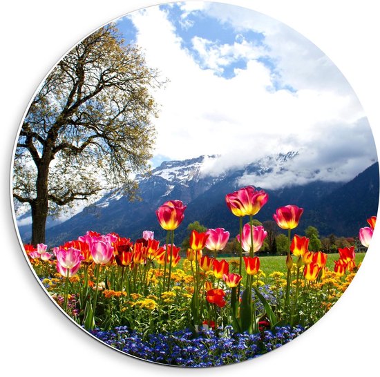 Forex Wall Circle - Magical Tulip Field at Big Tree and Montagnes - 40x40cm Photo sur Wall Circle (avec système d'accrochage)