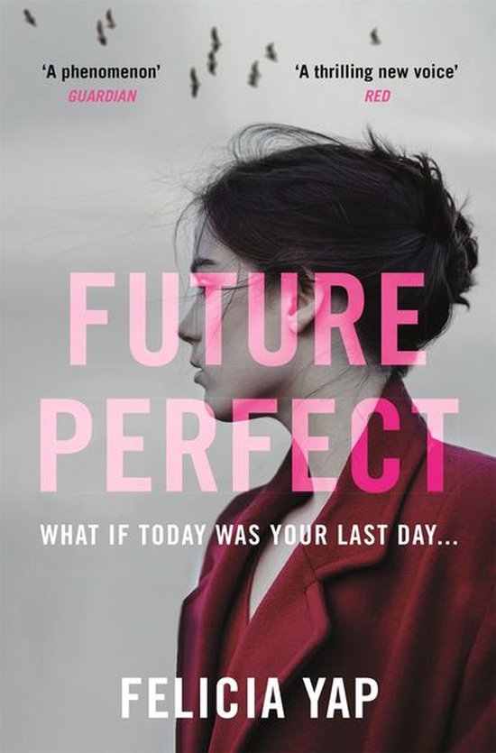 Future Perfect - cover