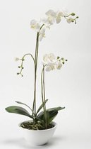 Orchidee in witte schaal kunstplant