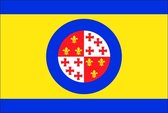 Vlag gemeente Harlingen 200x300 cm