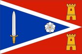 Vlag gemeente Zaltbommel 100x150 cm
