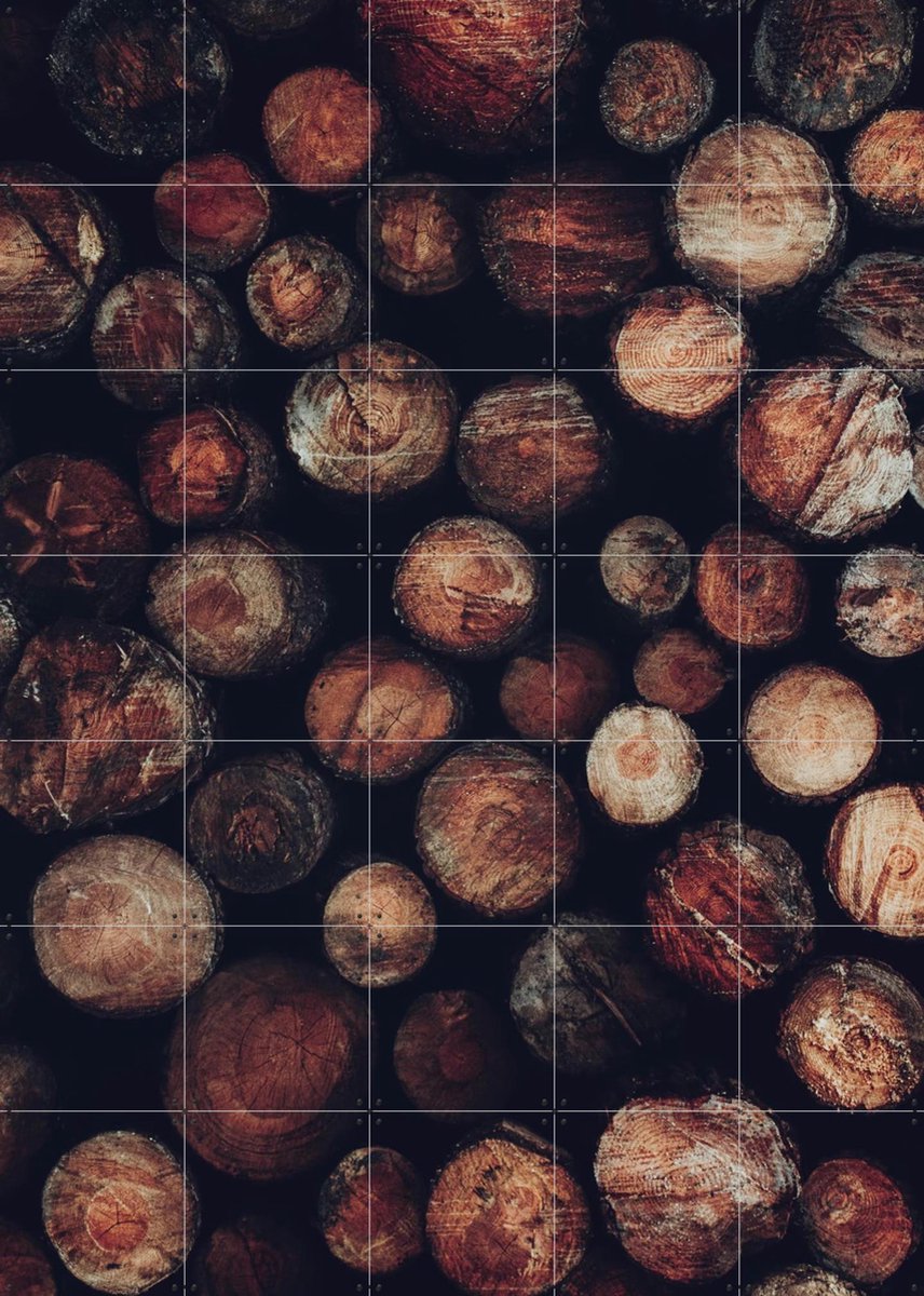IXXI Stacked Timer Wood Logs, Ingrid Beddoes - 100 x 140 cm - Gratis ophangtool - Grote wanddecoratie en posters - Fotografie, Woonkamer, Slaapkamer